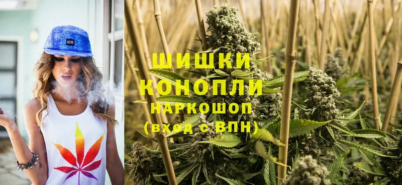 даркнет как зайти  Мурино  Бошки марихуана OG Kush 